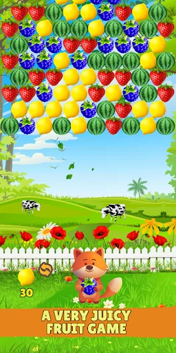 Fruit Splash: Bubble Shooter