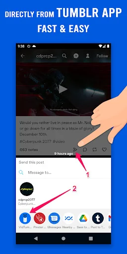 Video Downloader for Tumblr