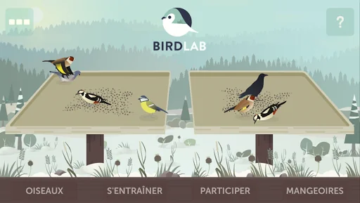 BirdLab