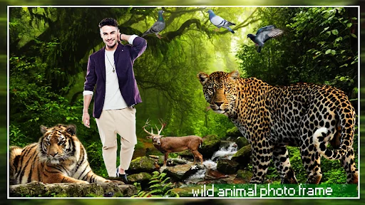 Wild Animal Photo Editor 3D