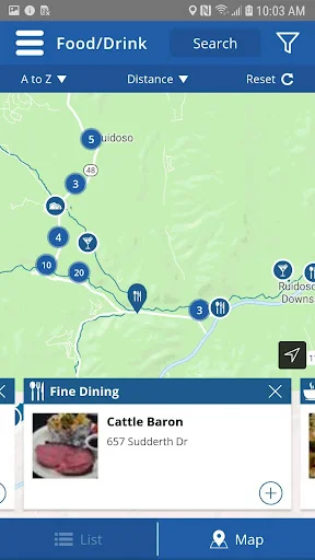 Discover Ruidoso screenshot 3