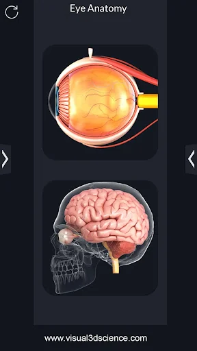 My Eye Anatomy screenshot 2