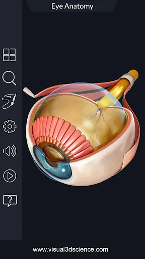 My Eye Anatomy screenshot 3