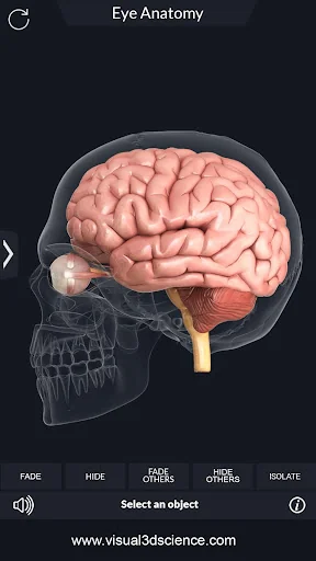 My Eye Anatomy screenshot 4