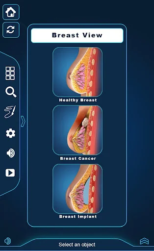 Breast Anatomy Pro.