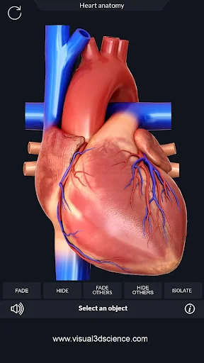 Heart Anatomy Pro.