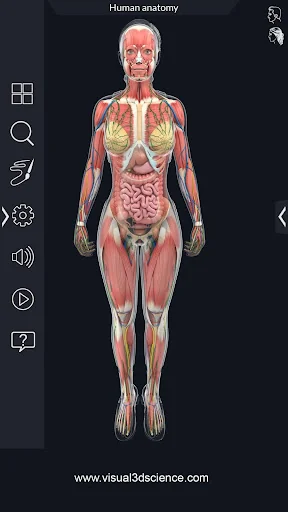 Human Anatomy screenshot 1