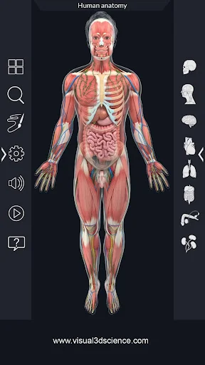 Human Anatomy screenshot 2