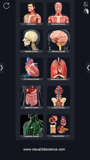 Human Anatomy screenshot 4