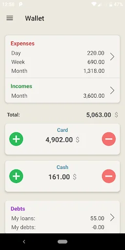 Wallet - cost accounting screenshot 1