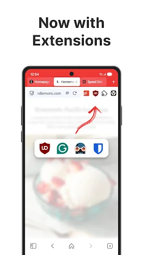 Vivaldi Browser - Fast & Safe