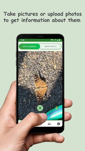 Butterfly: Identify, Search