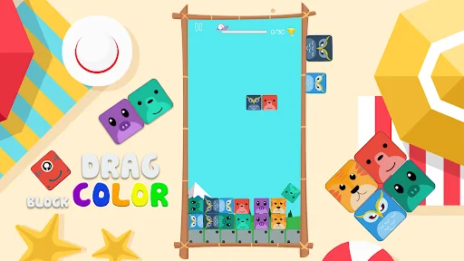 Drag Block Color : Puzzle Game