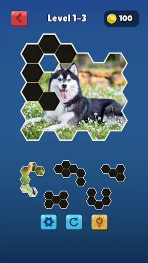 Hexa Jigsaw Collection HD