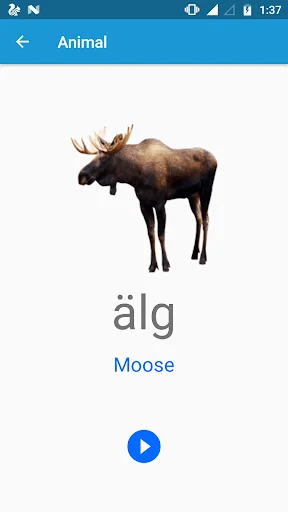 Swedish Guru