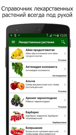 Лекарственные растения