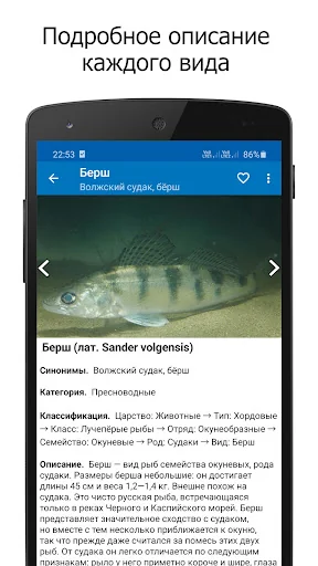 Справочник рыбака screenshot 2