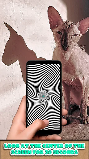 Optical Illusion Simulator