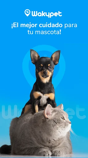 Wakypet - Paseadores de perros