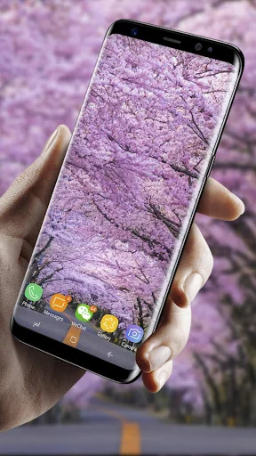 Romantic Sakura 3D Live Wallpa screenshot 3