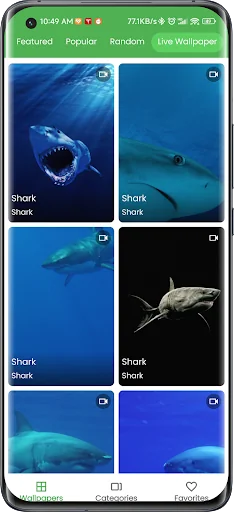 3D Shark in the Live Wallpaper screenshot 1