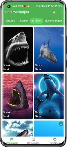 3D Shark in the Live Wallpaper screenshot 3
