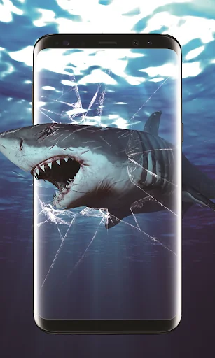 3D Shark in the Live Wallpaper screenshot 4