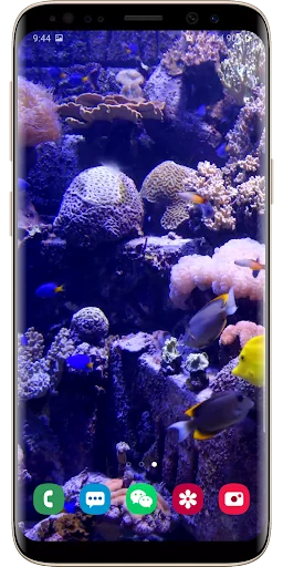 Real Aquarium Live Wallpaper