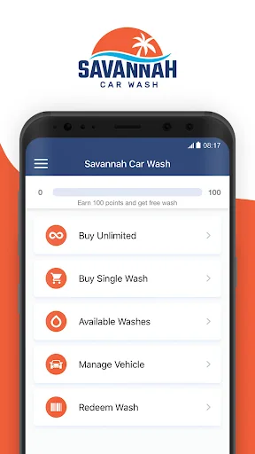 Savannah Car Wash