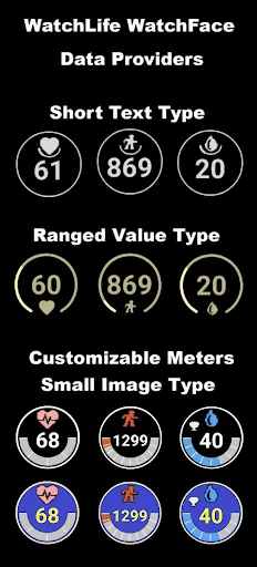 WatchLife Watch Data Provider