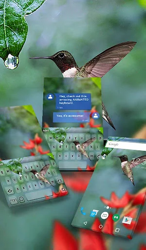Colibri Live Wallpaper Theme