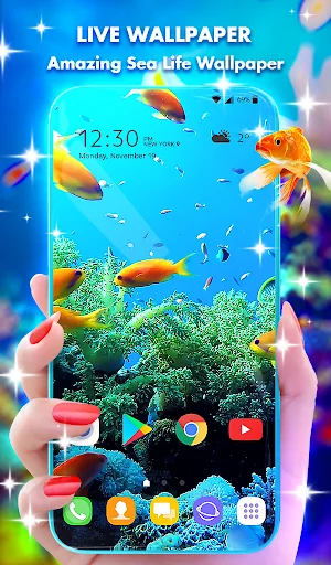 Coral Life Wallpaper HD Theme