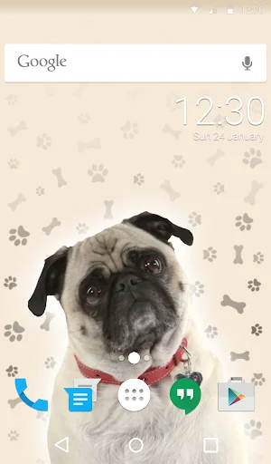 Cute Pug Keyboard Wallpaper HD screenshot 2