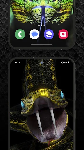 Snake Wallpaper HD + Keyboard screenshot 4
