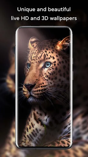 Automatic HD Wallpaper Changer screenshot 2