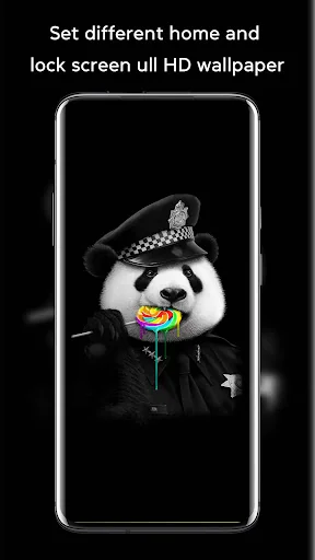 Automatic HD Wallpaper Changer screenshot 4
