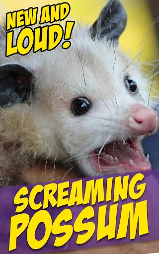 Screaming Goat Air Horn screenshot 2