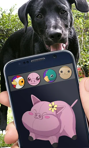 Dog Toy Squeaker Soundboard