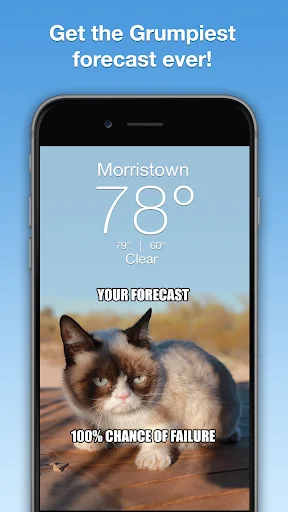 Grumpy Cat Weather
