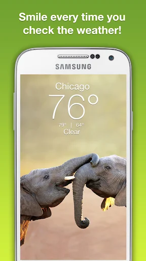 Wildlife Weather