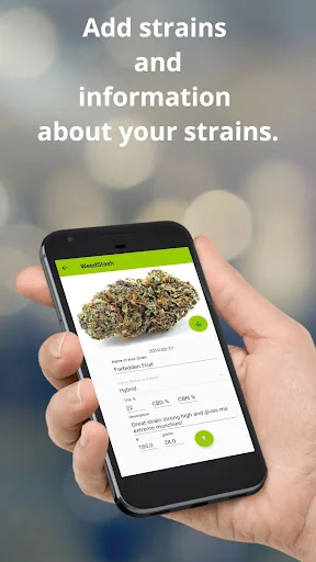 WeedStash