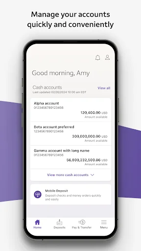 Wells Fargo Vantage® screenshot 4