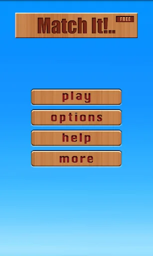 Match It Picture Puzzle