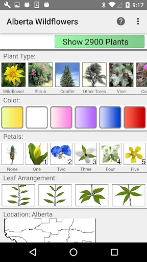 Alberta Wildflowers