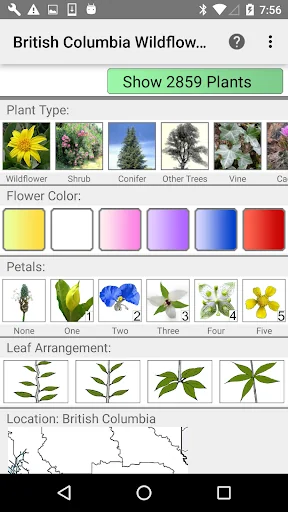 BC Wildflowers