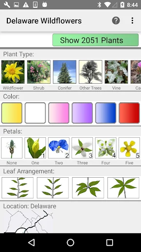 Delaware Wildflowers