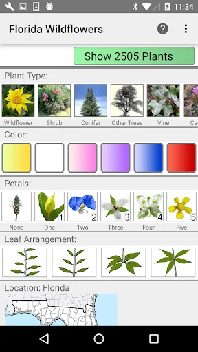 Florida Wildflowers