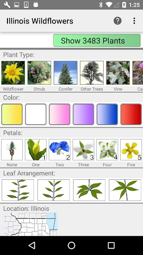 Illinois Wildflowers