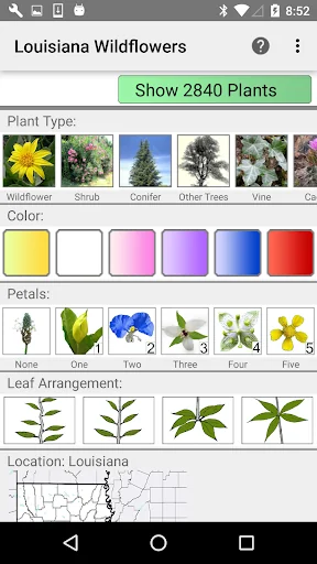 Louisiana Wildflowers