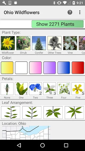 Ohio Wildflowers
